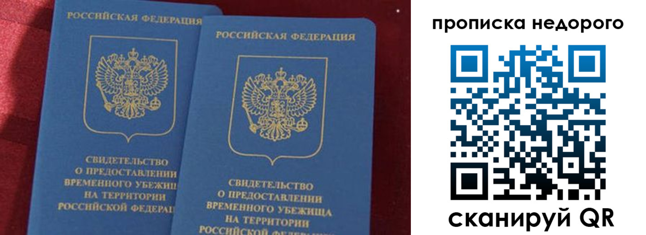 прописка гарантия в Александровске